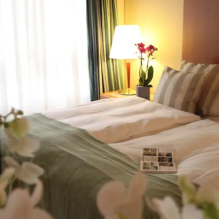 Hotel Royal Plaza Montreux