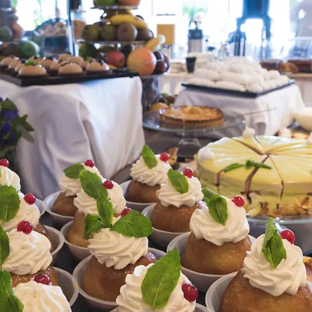 Royal Plaza Hotel Montreux