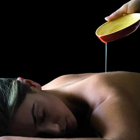 ホテル Royal Plaza モントルー