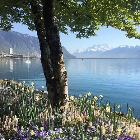 Royal Plaza モントルー